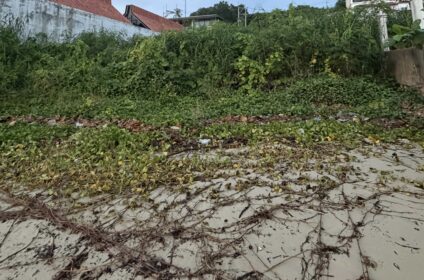 STUNNING BEACHFRONT LAND – LAMAI