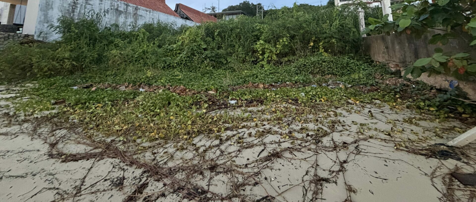 STUNNING BEACHFRONT LAND – LAMAI